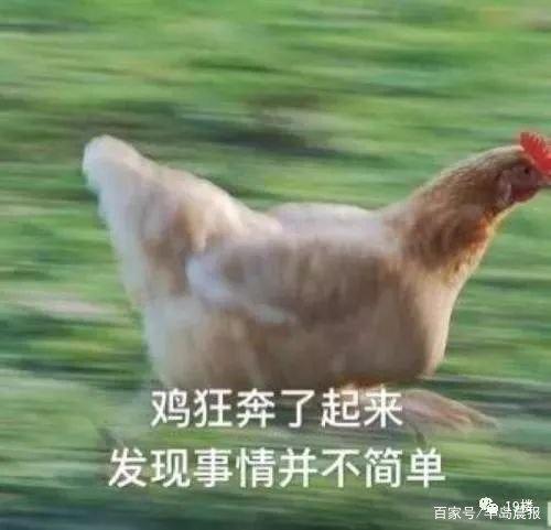 地鐵安檢不允許帶活雞，大媽接下來(lái)的行為，把地鐵的小姐姐嚇壞了